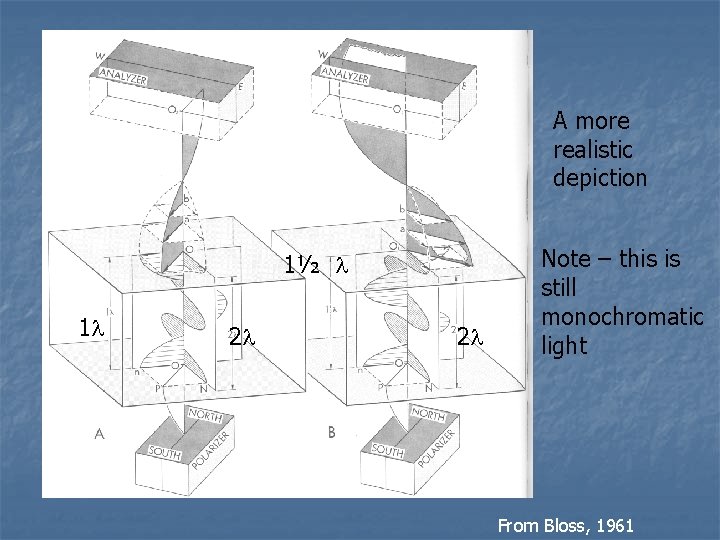 Fig. 7 -4 bloss 1½ l 1 l 2 l 2 l A more