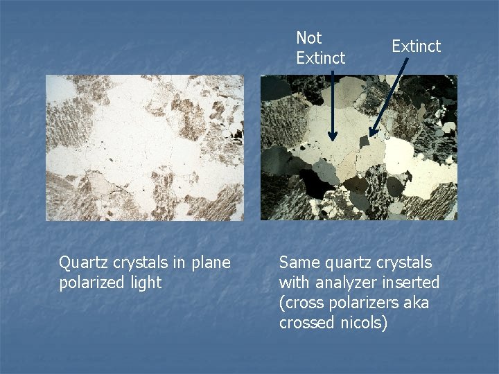 Not Extinct Quartz crystals in plane polarized light Extinct Same quartz crystals with analyzer