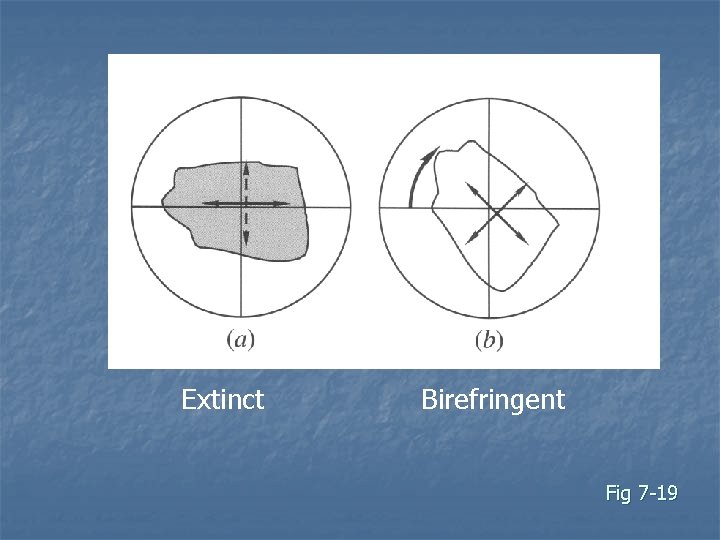 Extinct Birefringent Fig 7 -19 