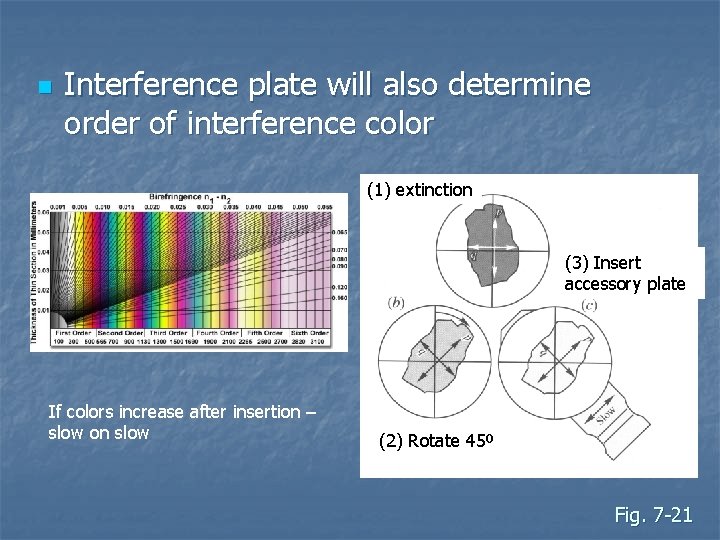 n Interference plate will also determine order of interference color (1) extinction (3) Insert