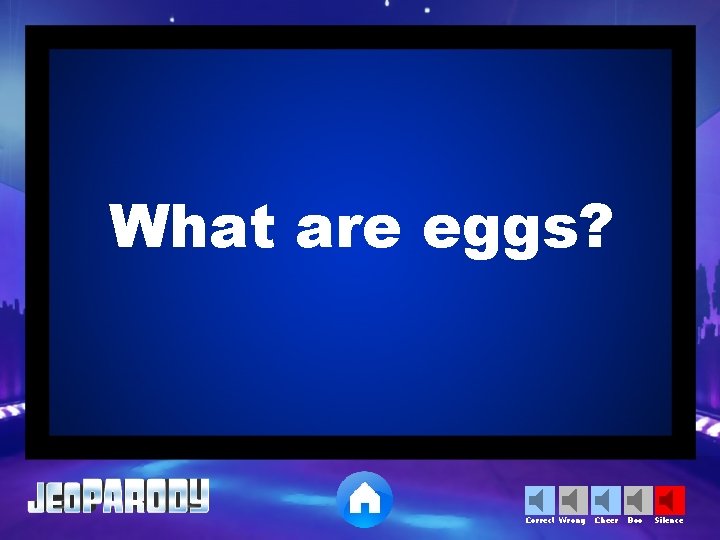 What are eggs? Correct Wrong Cheer Boo Silence 