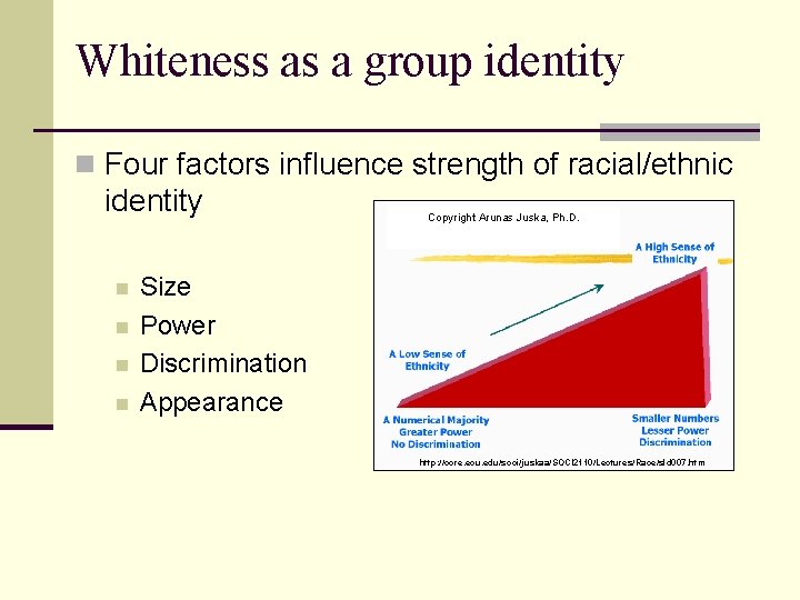 Whiteness as a group identity n Four factors influence strength of racial/ethnic identity n