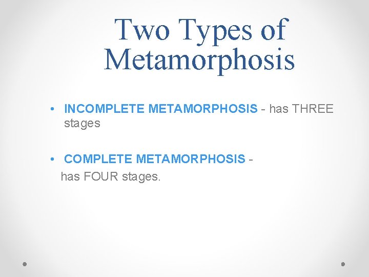 Two Types of Metamorphosis • INCOMPLETE METAMORPHOSIS - has THREE stages • COMPLETE METAMORPHOSIS