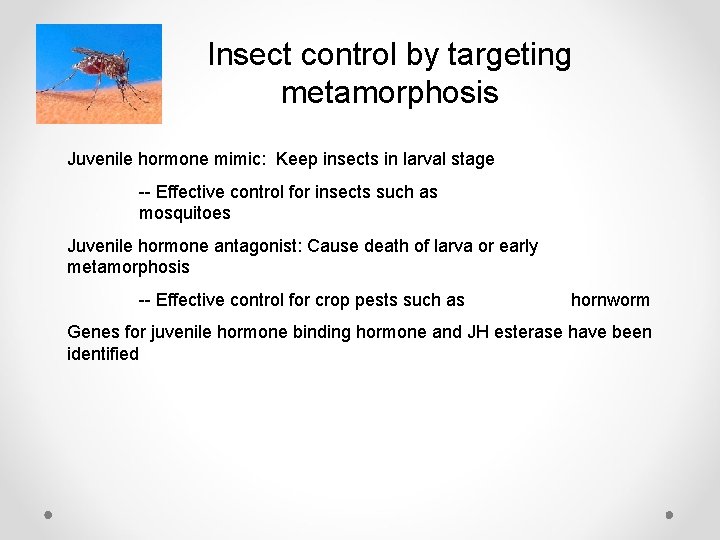 Insect control by targeting metamorphosis Juvenile hormone mimic: Keep insects in larval stage --