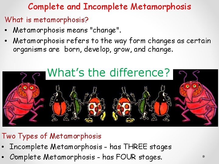 Complete and Incomplete Metamorphosis What is metamorphosis? • Metamorphosis means "change". • Metamorphosis refers