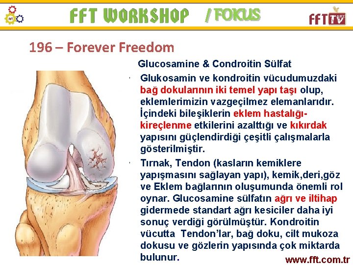 / FOKUS 196 – Forever Freedom Glucosamine & Condroitin Sülfat • Glukosamin ve kondroitin
