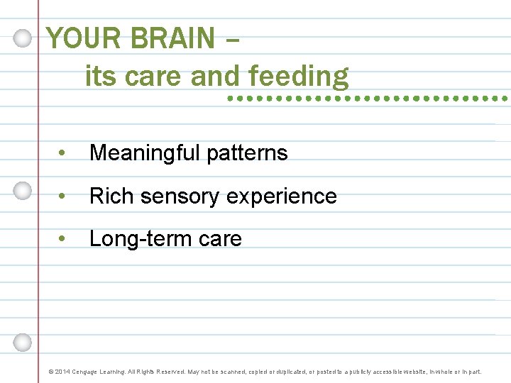 YOUR BRAIN – its care and feeding • Meaningful patterns • Rich sensory experience