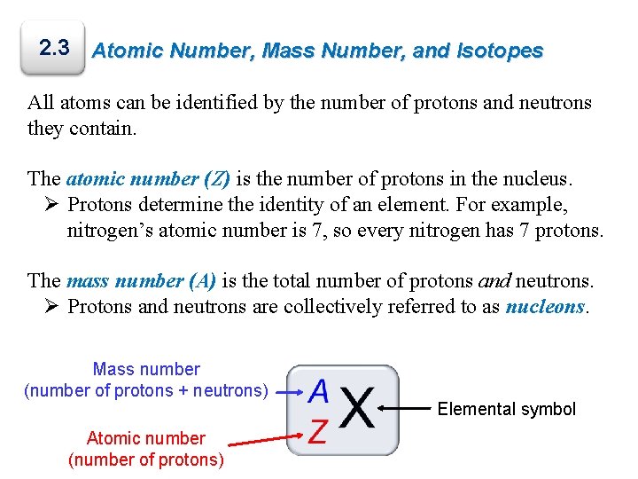 2. 3 Atomic Number, Mass Number, and Isotopes All atoms can be identified by