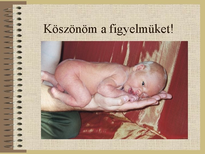 Köszönöm a figyelmüket! 