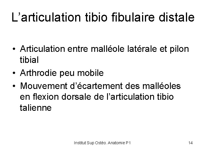 L’articulation tibio fibulaire distale • Articulation entre malléole latérale et pilon tibial • Arthrodie