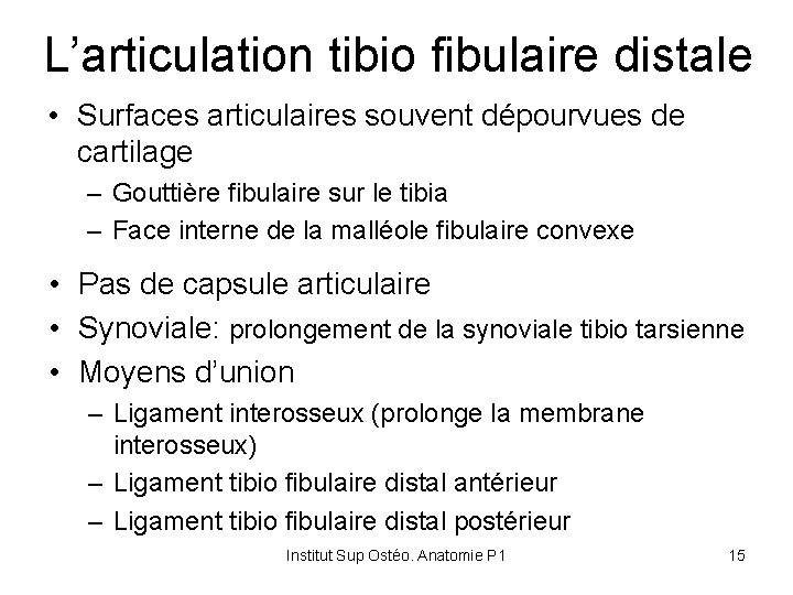 L’articulation tibio fibulaire distale • Surfaces articulaires souvent dépourvues de cartilage – Gouttière fibulaire