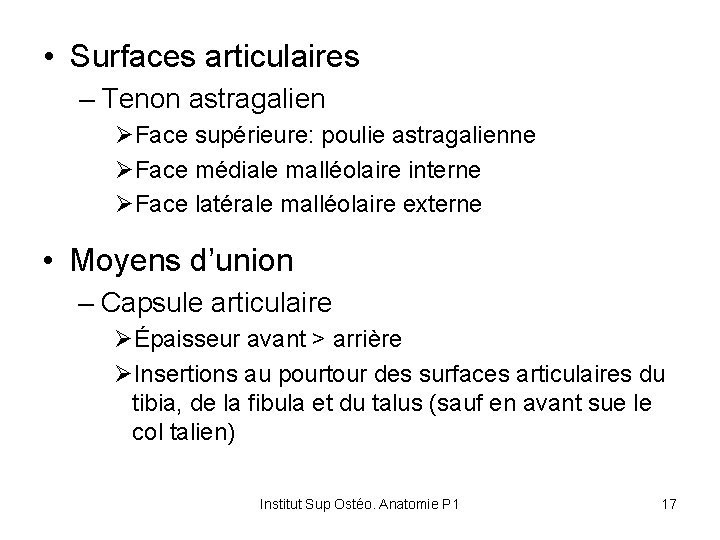  • Surfaces articulaires – Tenon astragalien ØFace supérieure: poulie astragalienne ØFace médiale malléolaire