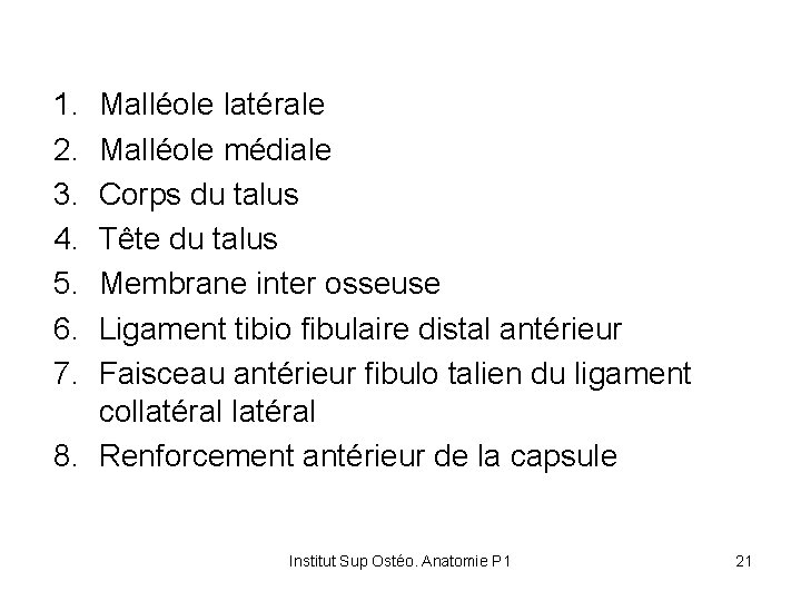 1. 2. 3. 4. 5. 6. 7. Malléole latérale Malléole médiale Corps du talus