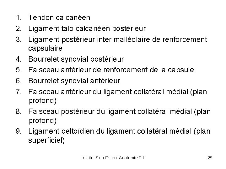 1. Tendon calcanéen 2. Ligament talo calcanéen postérieur 3. Ligament postérieur inter malléolaire de