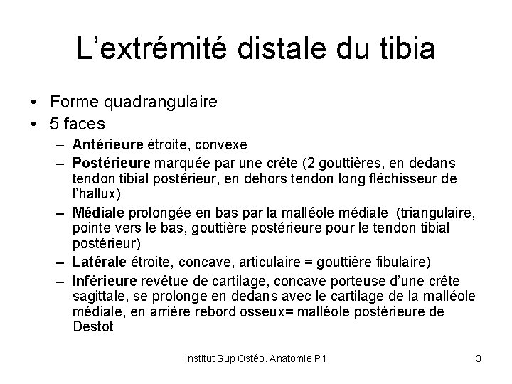 L’extrémité distale du tibia • Forme quadrangulaire • 5 faces – Antérieure étroite, convexe