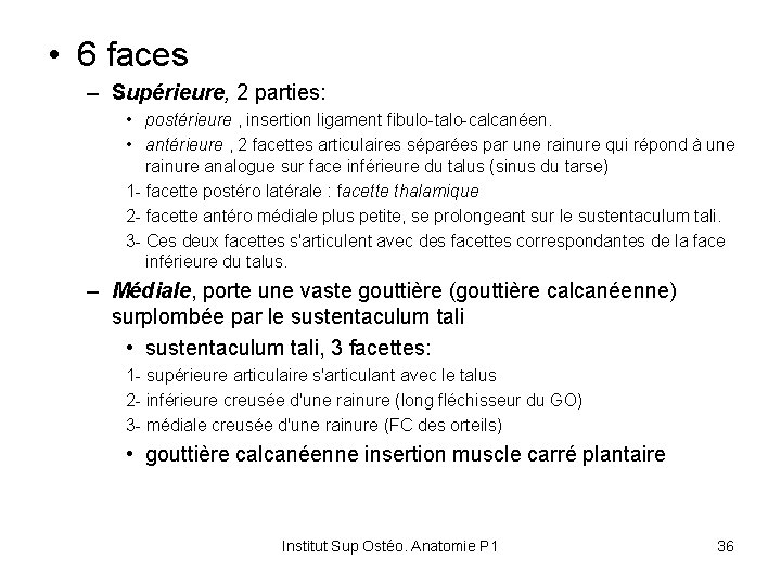  • 6 faces – Supérieure, 2 parties: • postérieure , insertion ligament fibulo-talo-calcanéen.