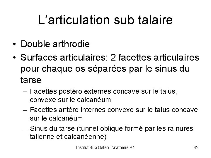 L’articulation sub talaire • Double arthrodie • Surfaces articulaires: 2 facettes articulaires pour chaque