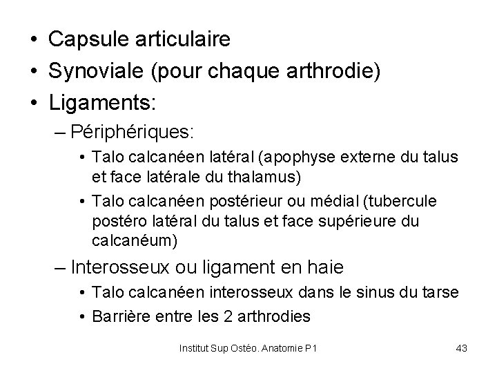  • Capsule articulaire • Synoviale (pour chaque arthrodie) • Ligaments: – Périphériques: •