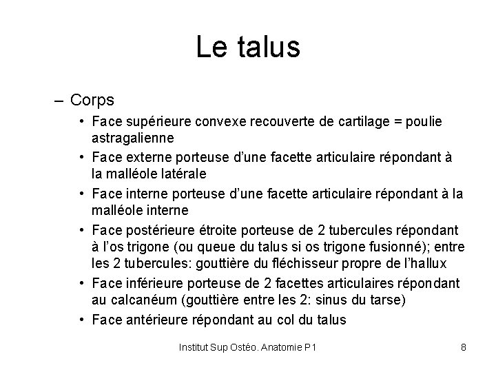 Le talus – Corps • Face supérieure convexe recouverte de cartilage = poulie astragalienne