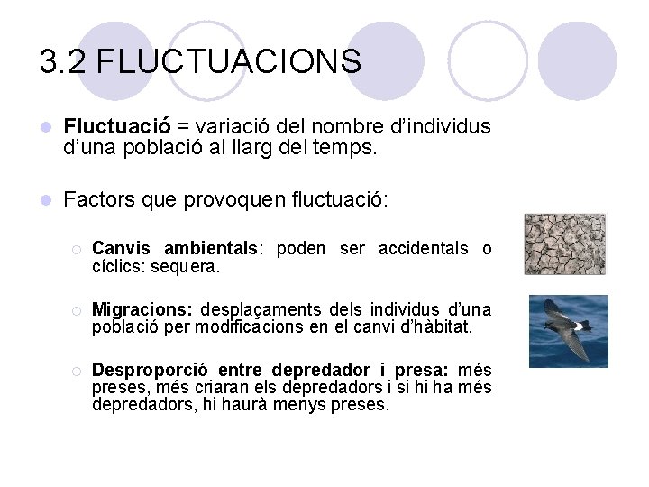 3. 2 FLUCTUACIONS l Fluctuació = variació del nombre d’individus d’una població al llarg