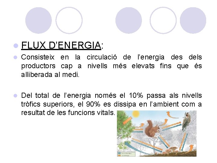 l FLUX D’ENERGIA: l Consisteix en la circulació de l’energia des dels productors cap