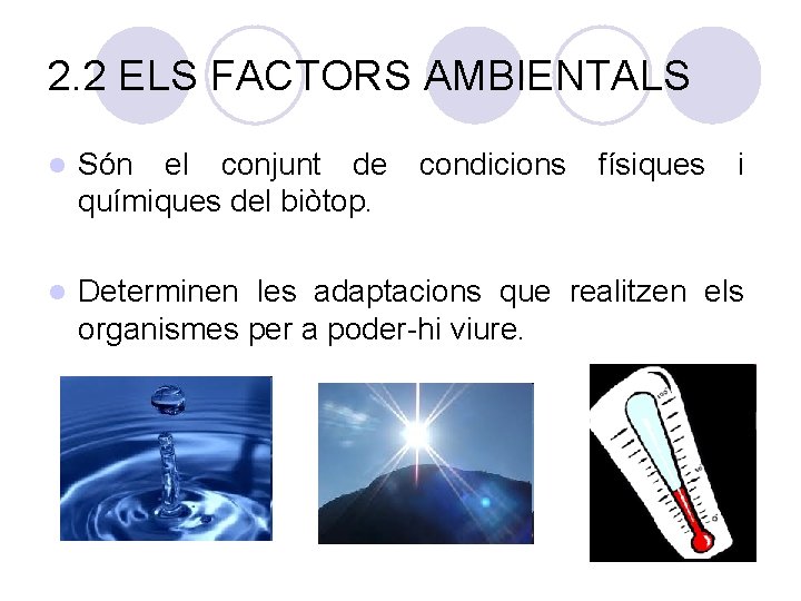 2. 2 ELS FACTORS AMBIENTALS l Són el conjunt de químiques del biòtop. condicions