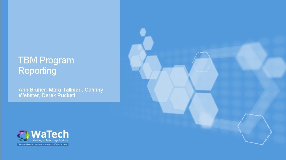 TBM Program Reporting Ann Bruner, Mara Tallman, Cammy Webster, Derek Puckett 