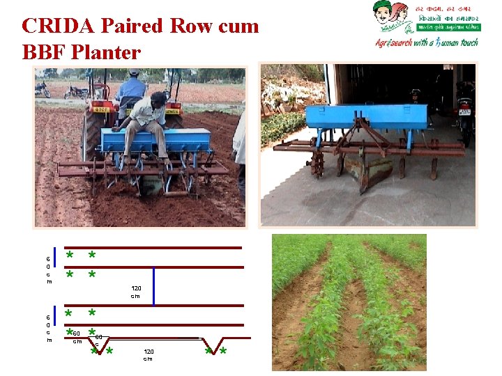 CRIDA Paired Row cum BBF Planter 6 0 c m * * * *