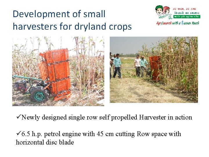 Development of small harvesters for dryland crops üNewly designed single row self propelled Harvester