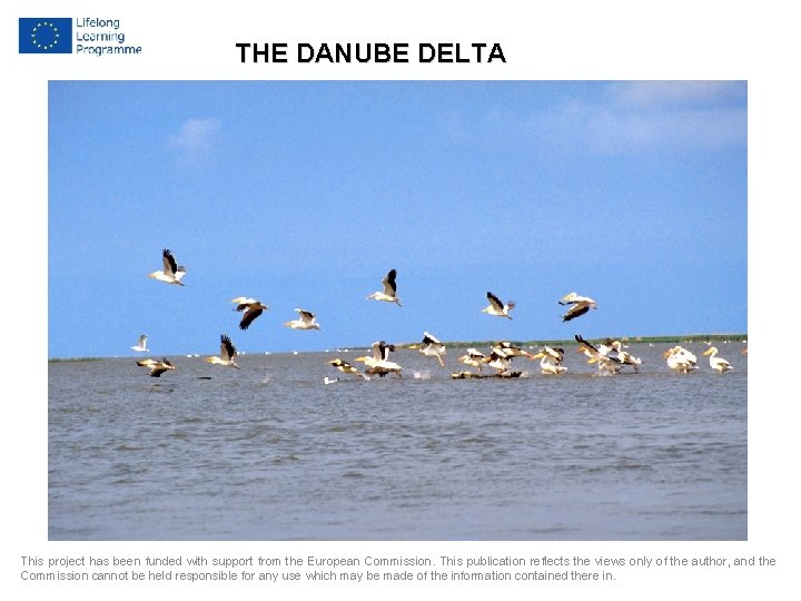 THE DANUBE DELTA This project has been funded with support from the European Commission.