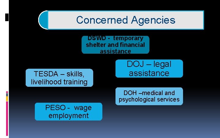 Concerned Agencies DSWD - temporary shelter and financial assistance TESDA – skills, livelihood training Concerned Agencies DSWD - temporary shelter and financial assistance TESDA – skills, livelihood training