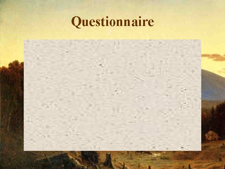 Questionnaire 