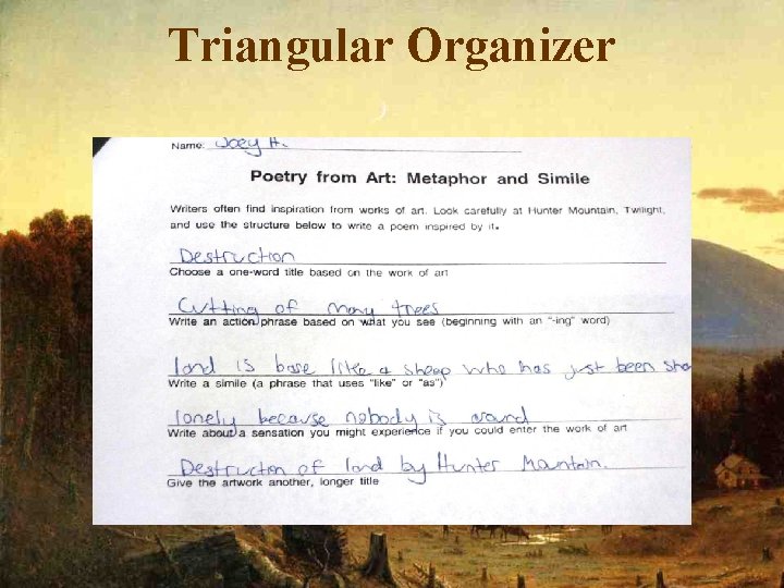 Triangular Organizer 