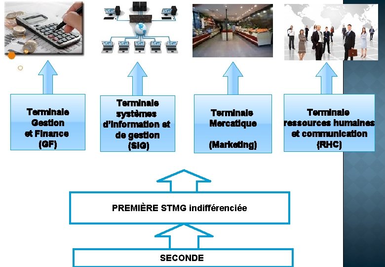 Terminale Gestion et Finance (GF) Terminale systèmes d’information et de gestion (SIG) Terminale Mercatique
