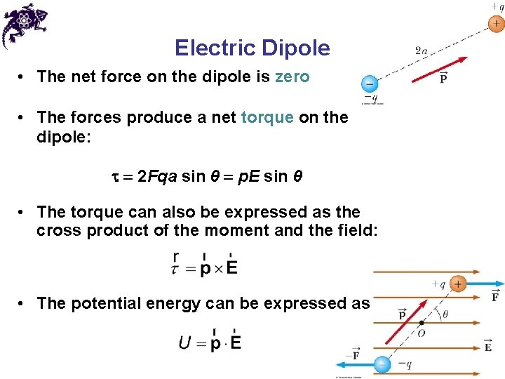 Electric Dipole • The net force on the dipole is zero • The forces