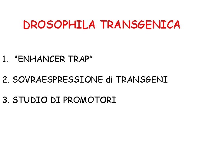 DROSOPHILA TRANSGENICA 1. “ENHANCER TRAP” 2. SOVRAESPRESSIONE di TRANSGENI 3. STUDIO DI PROMOTORI DROSOPHILA TRANSGENICA 1. “ENHANCER TRAP” 2. SOVRAESPRESSIONE di TRANSGENI 3. STUDIO DI PROMOTORI