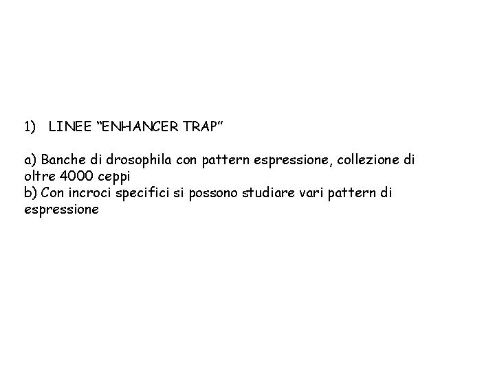 1) LINEE “ENHANCER TRAP” a) Banche di drosophila con pattern espressione, collezione di oltre 1) LINEE “ENHANCER TRAP” a) Banche di drosophila con pattern espressione, collezione di oltre