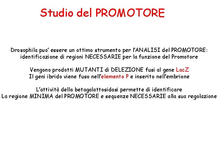 Studio del PROMOTORE Drosophila puo’ essere un ottimo strumento per l’ANALISI del PROMOTORE: identificazione Studio del PROMOTORE Drosophila puo’ essere un ottimo strumento per l’ANALISI del PROMOTORE: identificazione