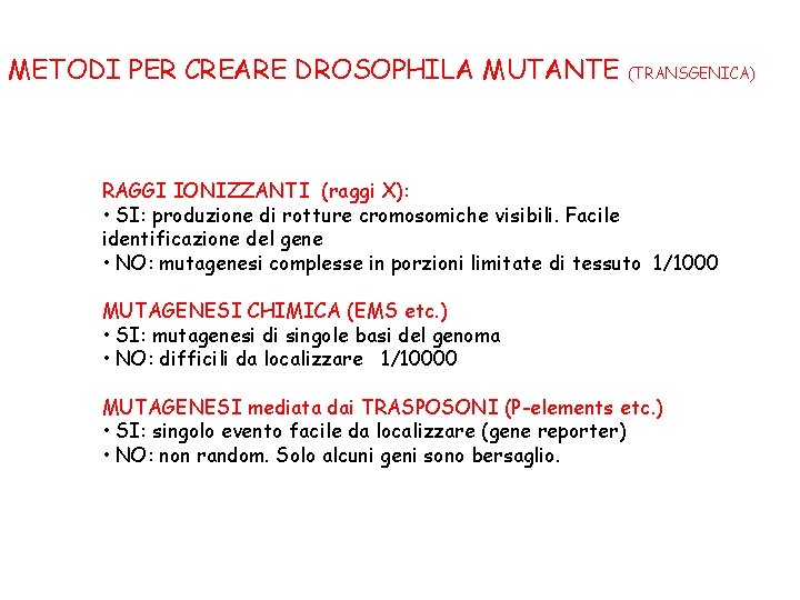 METODI PER CREARE DROSOPHILA MUTANTE (TRANSGENICA) RAGGI IONIZZANTI (raggi X): • SI: produzione di METODI PER CREARE DROSOPHILA MUTANTE (TRANSGENICA) RAGGI IONIZZANTI (raggi X): • SI: produzione di