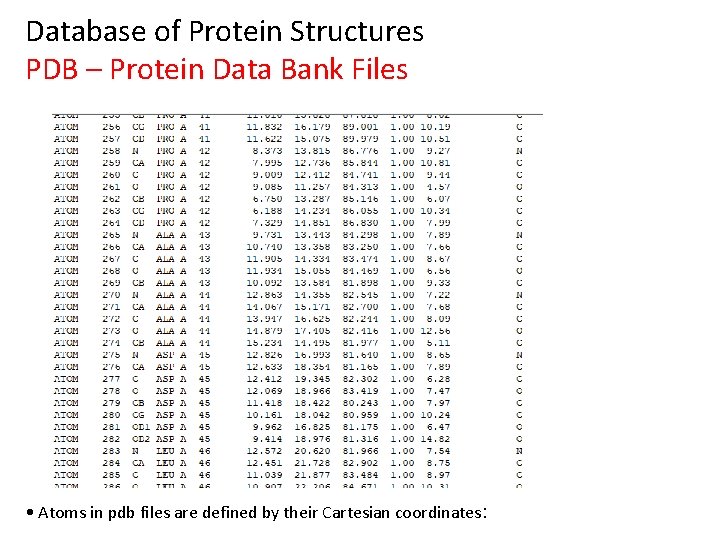 Database of Protein Structures PDB – Protein Data Bank Files • Atoms in pdb