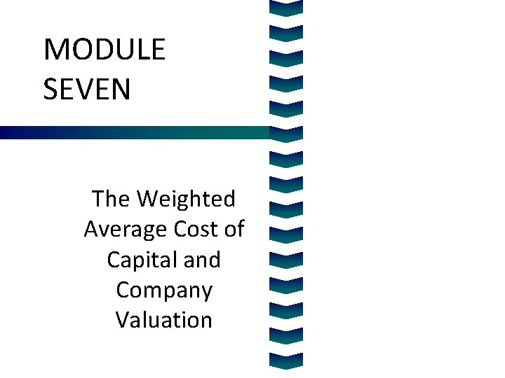 MODULE SEVEN The Weighted Average Cost of Capital and Company Valuation 