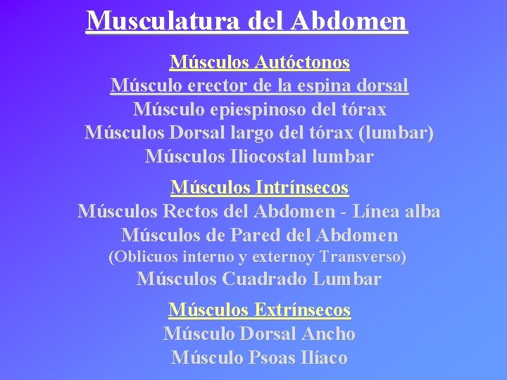 Musculatura del Abdomen Músculos Autóctonos Músculo erector de la espina dorsal Músculo epiespinoso del