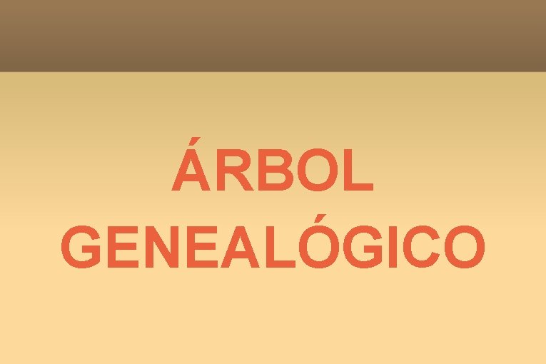 ÁRBOL GENEALÓGICO 