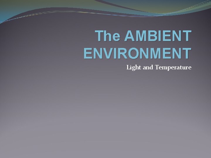 The AMBIENT ENVIRONMENT Light and Temperature 