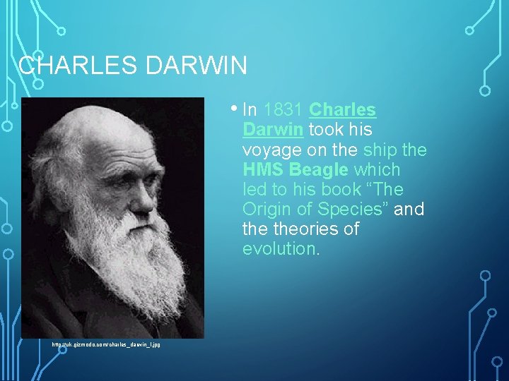 CHARLES DARWIN • In 1831 Charles Darwin took his voyage on the ship the