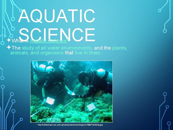 AQUATIC SCIENCE ªWhat is Aquatic Science? ªThe study of all water environments, and the