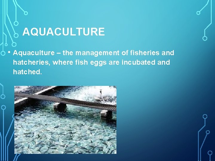 AQUACULTURE • Aquaculture – the management of fisheries and hatcheries, where fish eggs are