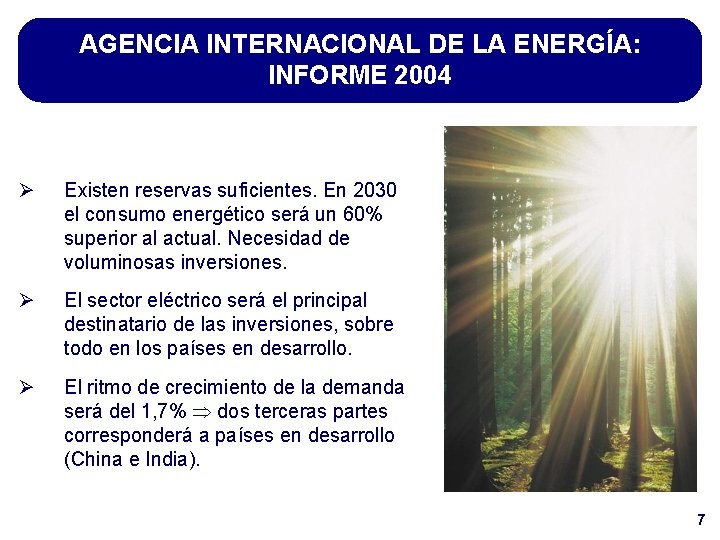 AGENCIA INTERNACIONAL DE LA ENERGÍA: INFORME 2004 Ø Existen reservas suficientes. En 2030 el