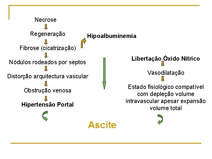Necrose Regeneração Hipoalbuminemia Fibrose (cicatrização) Libertação Óxido Nítrico Nódulos rodeados por septos Distorção arquitectura
