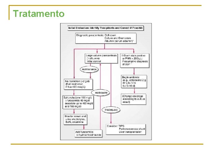 Tratamento 